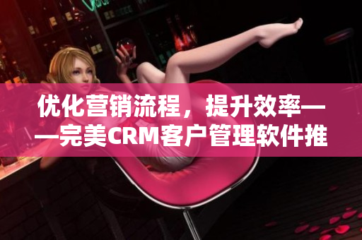 优化营销流程，提升效率——完美CRM客户管理软件推荐