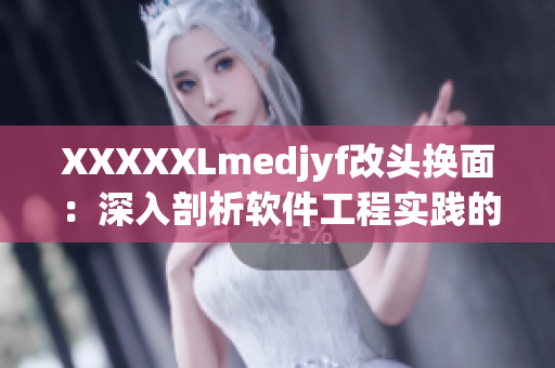 XXXXXLmedjyf改头换面：深入剖析软件工程实践的关键因素