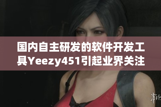 国内自主研发的软件开发工具Yeezy451引起业界关注