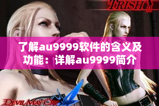 了解au9999软件的含义及功能：详解au9999简介