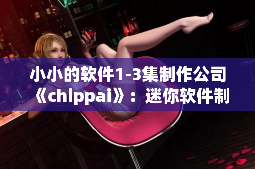 小小的软件1-3集制作公司《chippai》：迷你软件制作故事