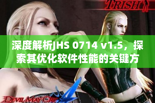 深度解析JHS 0714 v1.5，探索其优化软件性能的关键方法