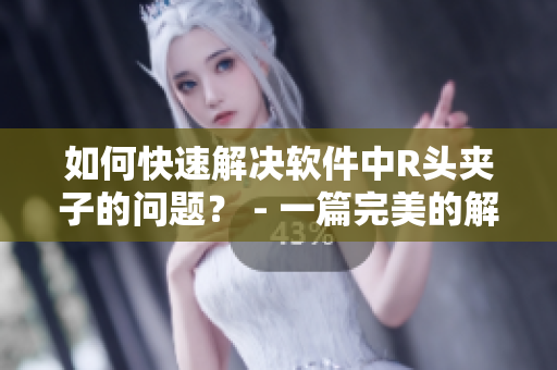 如何快速解决软件中R头夹子的问题？ - 一篇完美的解决方案