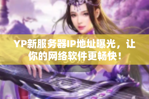 YP新服务器IP地址曝光，让你的网络软件更畅快！