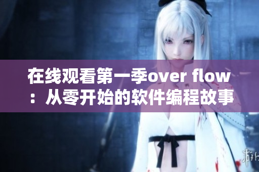 在线观看第一季over flow：从零开始的软件编程故事