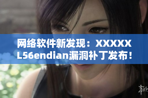 网络软件新发现：XXXXXL56endian漏洞补丁发布！