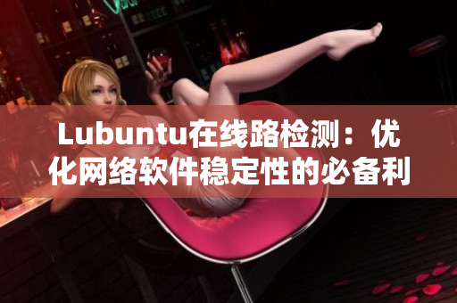 Lubuntu在线路检测：优化网络软件稳定性的必备利器