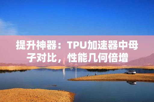 提升神器：TPU加速器中母子对比，性能几何倍增