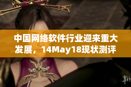 中国网络软件行业迎来重大发展，14May18现状测评！