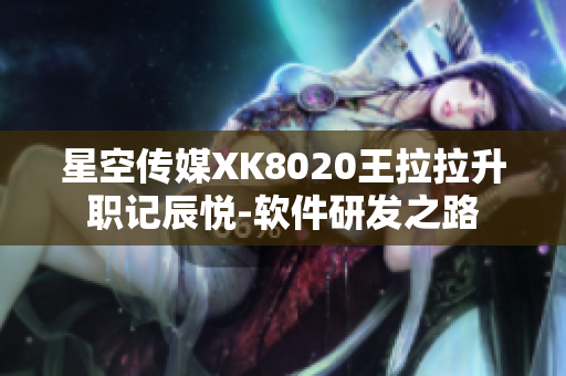 星空传媒XK8020王拉拉升职记辰悦-软件研发之路