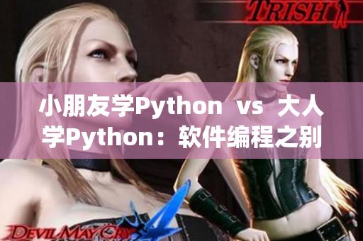 小朋友学Python  vs  大人学Python：软件编程之别