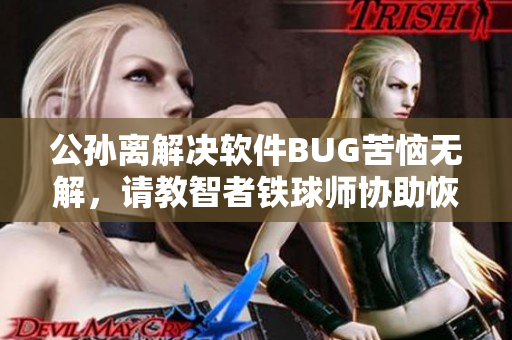 公孙离解决软件BUG苦恼无解，请教智者铁球师协助恢复微笑