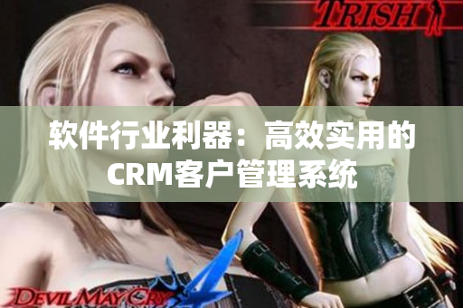 软件行业利器：高效实用的CRM客户管理系统