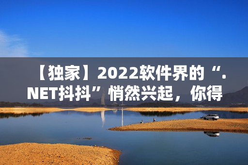 【独家】2022软件界的“.NET抖抖”悄然兴起，你得知了吗？