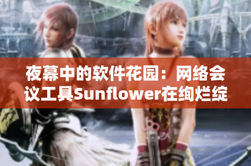 夜幕中的软件花园：网络会议工具Sunflower在绚烂绽放