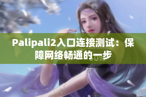 Palipali2入口连接测试：保障网络畅通的一步