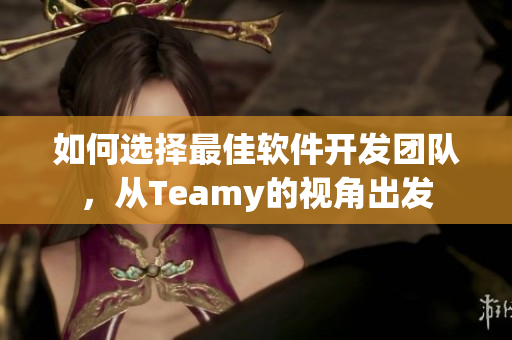 如何选择最佳软件开发团队，从Teamy的视角出发