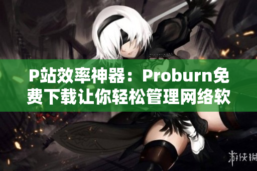 P站效率神器：Proburn免费下载让你轻松管理网络软件