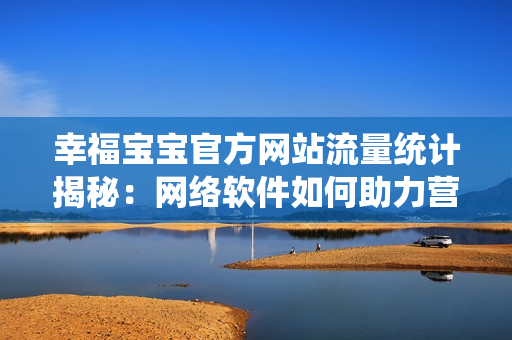 幸福宝宝官方网站流量统计揭秘：网络软件如何助力营销增长