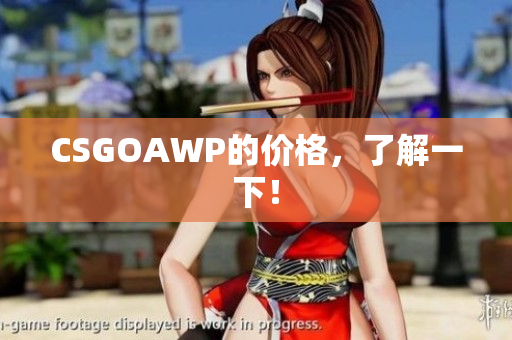 CSGOAWP的价格，了解一下！