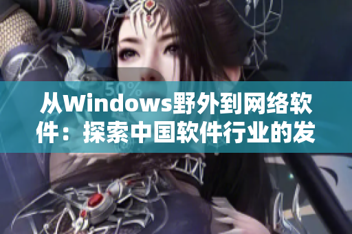 从Windows野外到网络软件：探索中国软件行业的发展历程