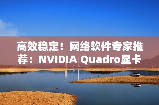 高效稳定！网络软件专家推荐：NVIDIA Quadro显卡系列