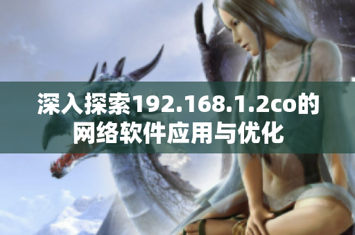 深入探索192.168.1.2co的网络软件应用与优化