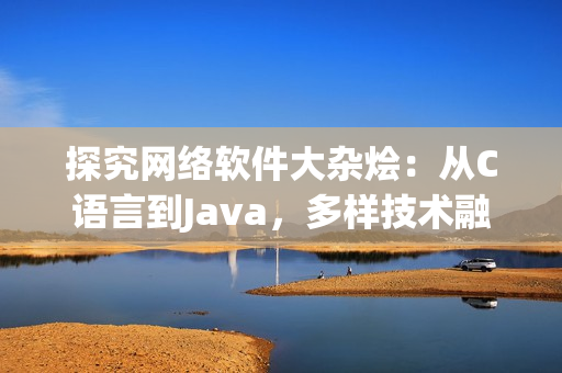 探究网络软件大杂烩：从C语言到Java，多样技术融合为你展现