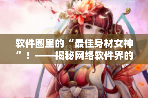 软件圈里的“最佳身材女神”！——揭秘网络软件界的超级开发人员