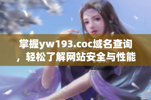 掌握yw193.coc域名查询，轻松了解网站安全与性能，维护网络软件畅通无阻