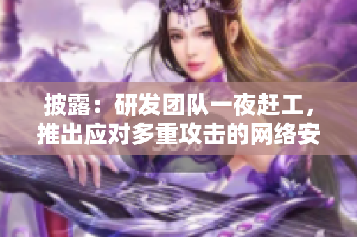 披露：研发团队一夜赶工，推出应对多重攻击的网络安全软件