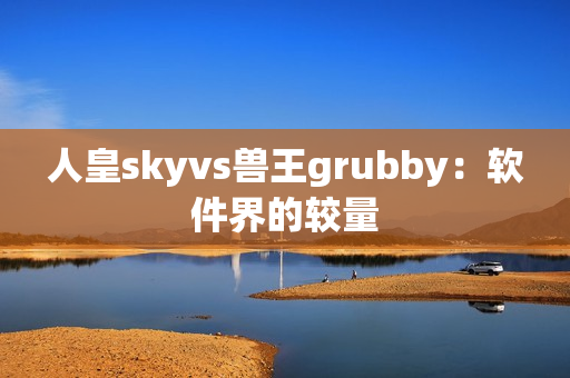 人皇skyvs兽王grubby：软件界的较量