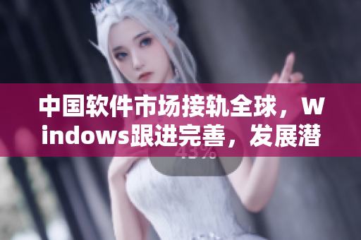 中国软件市场接轨全球，Windows跟进完善，发展潜力重大！