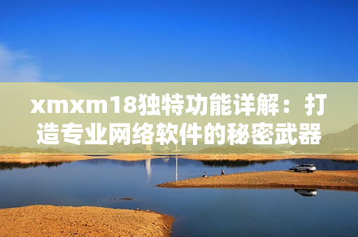 xmxm18独特功能详解：打造专业网络软件的秘密武器