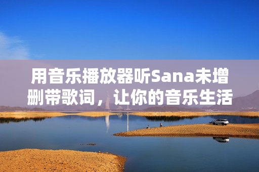 用音乐播放器听Sana未增删带歌词，让你的音乐生活更加精彩