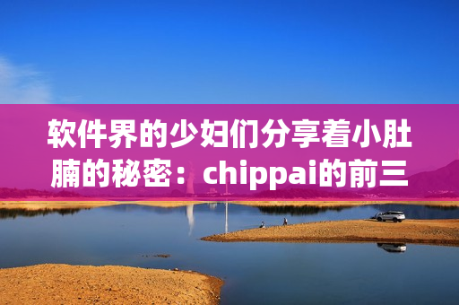 软件界的少妇们分享着小肚腩的秘密：chippai的前三部！