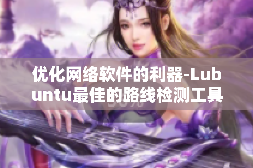 优化网络软件的利器-Lubuntu最佳的路线检测工具