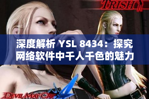 深度解析 YSL 8434：探究网络软件中千人千色的魅力之路