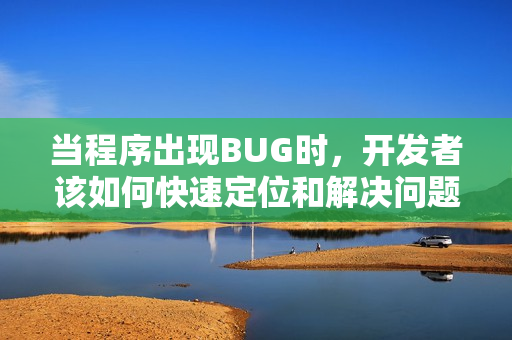 当程序出现BUG时，开发者该如何快速定位和解决问题