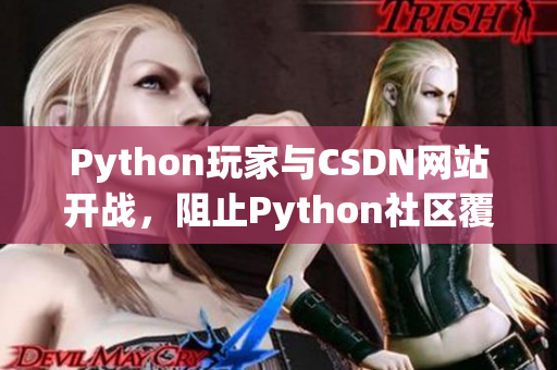 Python玩家与CSDN网站开战，阻止Python社区覆灭！