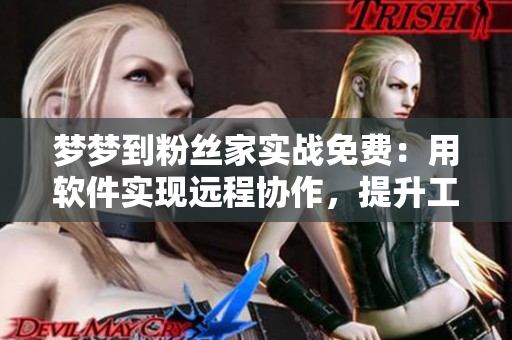 梦梦到粉丝家实战免费：用软件实现远程协作，提升工作效率