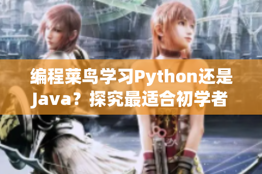 编程菜鸟学习Python还是Java？探究最适合初学者的编程语言