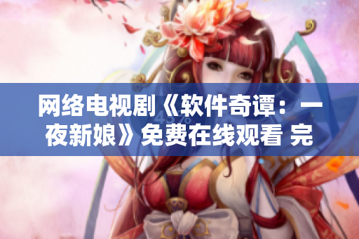 网络电视剧《软件奇谭：一夜新娘》免费在线观看 完整版