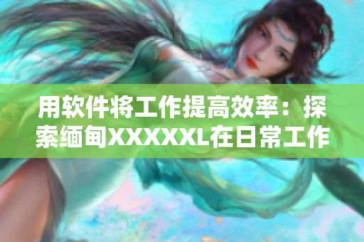 用软件将工作提高效率：探索缅甸XXXXXL在日常工作中的应用