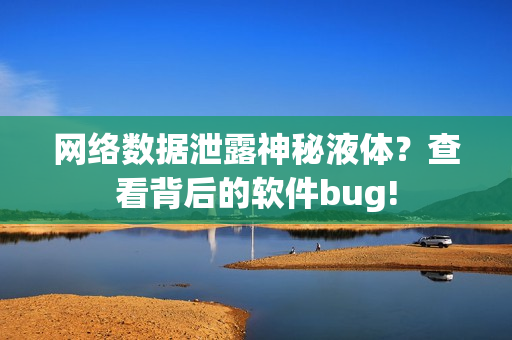 网络数据泄露神秘液体？查看背后的软件bug!