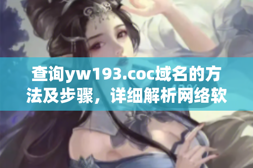 查询yw193.coc域名的方法及步骤，详细解析网络软件应用。