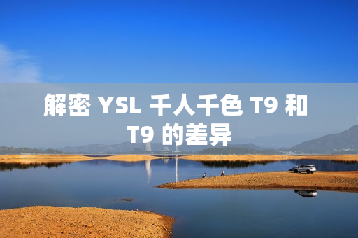 解密 YSL 千人千色 T9 和 T9 的差异