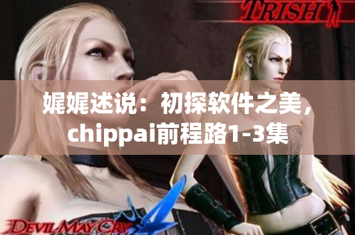 娓娓述说：初探软件之美，chippai前程路1-3集