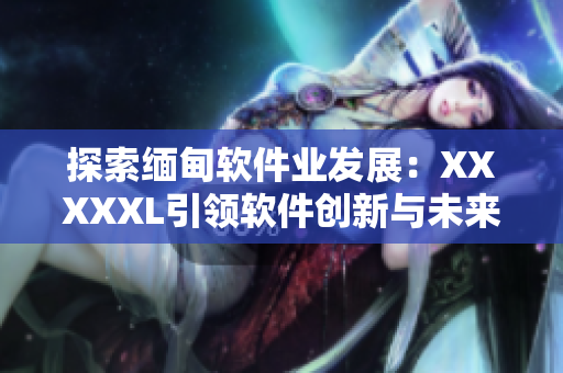 探索缅甸软件业发展：XXXXXL引领软件创新与未来趋势