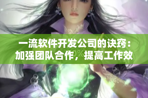 一流软件开发公司的诀窍：加强团队合作，提高工作效率！